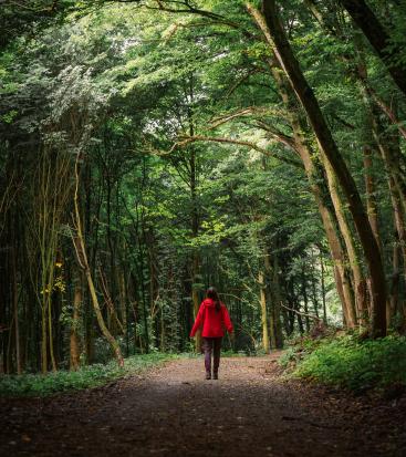 Eine Frau geht auf einem Weg im Wald.